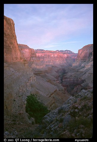 Tapeats Creek, dusk. Grand Canyon National Park (color)