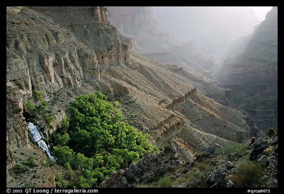 Oasis of Thunder Spring in Tapeats Creek, morning. Grand Canyon National Park (color)