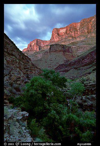 Tapeats Creek, dusk. Grand Canyon National Park (color)