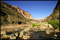 external image grca8489.small.jpeg