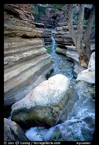 Deer Creek flows into a narrow canyon. Grand Canyon National Park (color)