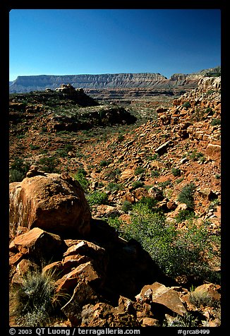 Layers of Supai from  edge of  Esplanade. Grand Canyon National Park, Arizona, USA.