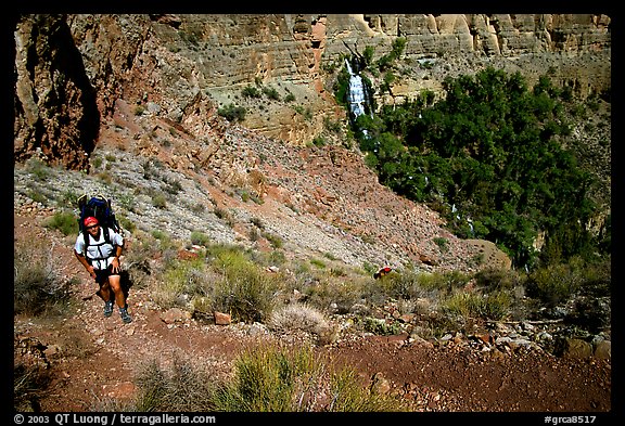 Backpacker above Thunder River Oasis. Grand Canyon National Park, Arizona, USA.