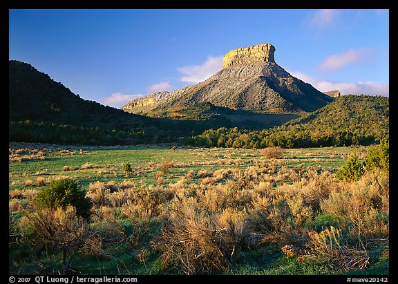 Meadows and Lookout Peak, early morning. Mesa Verde National Park (color)