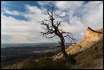 Montezuma Valley Overlook. Mesa Verde National Park, Colorado, USA. (color)