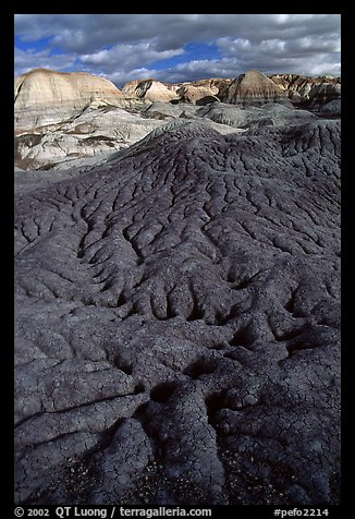 Bentonite and volcanic ash badlands in Blue Mesa, afternoon. Petrified Forest National Park, Arizona, USA.