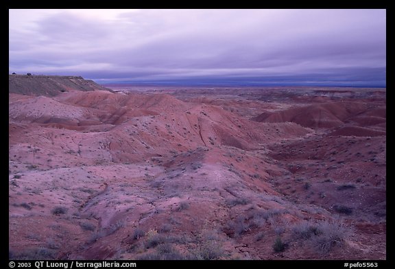 Painted desert seen from Tiponi Point, dawn. Petrified Forest National Park (color)