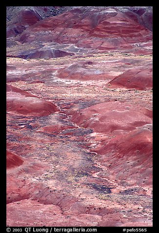 Red hills of  Painted desert seen from Tawa Point. Petrified Forest National Park, Arizona, USA.