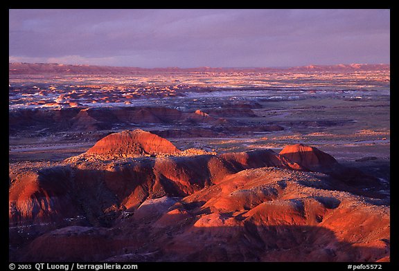 Multi-hued badlands of  Painted desert seen from Chinde Point. Petrified Forest National Park (color)