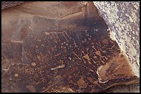 Petroglyphs on Newspaper Rock. Petrified Forest National Park, Arizona, USA.
