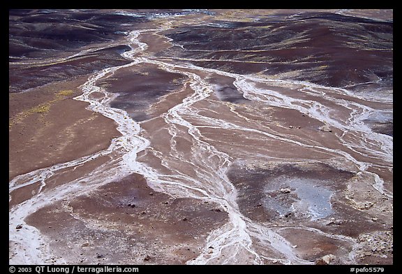 Dendritic drainage patterns, Blue Mesa, mid-day. Petrified Forest National Park, Arizona, USA.