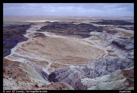 Badlands and Dendritic drainage patterns, Blue Mesa, mid-day. Petrified Forest National Park (color)