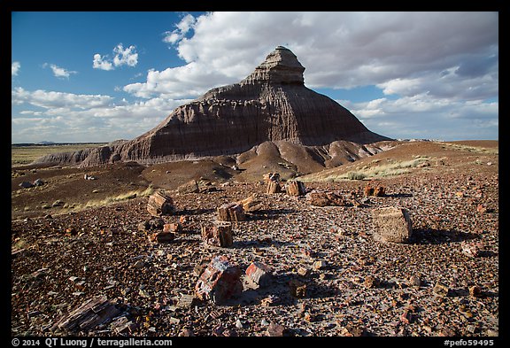 Petrified wood and Salomons Throne. Petrified Forest National Park (color)