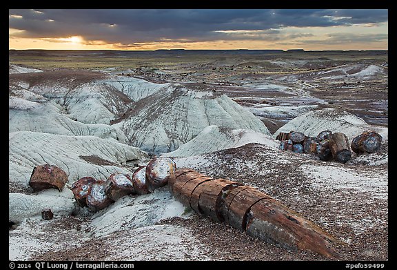 Broken logs of petrified wood at sunset, Crystal Forest. Petrified Forest National Park (color)