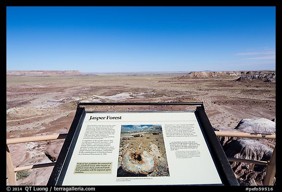 Interpretive sign, Jasper Forest. Petrified Forest National Park, Arizona, USA.