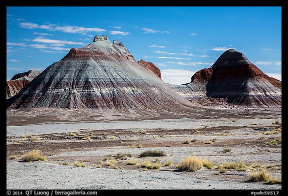 Conical hills carved from blue and red mudstone by erosion. Petrified Forest National Park (color)