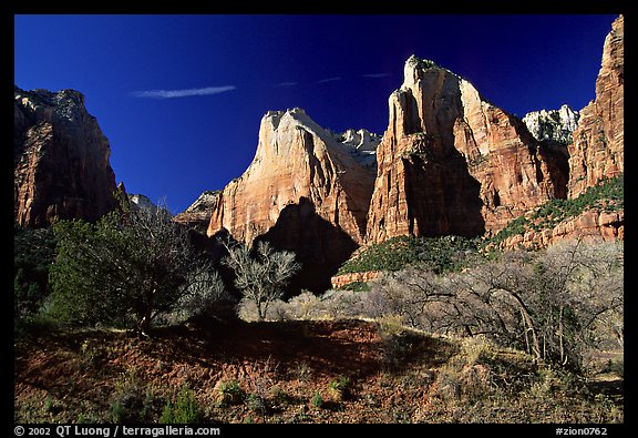 Court of the Patriarchs sandstone towers, morning. Zion National Park, Utah, USA.