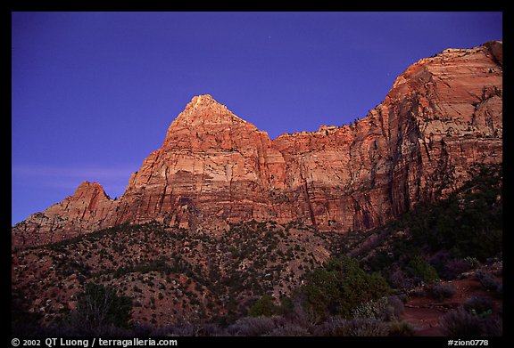 Watchman, sunset. Zion National Park (color)