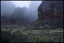 Rainy afternoon, Zion Canyon. Zion National Park ( color)