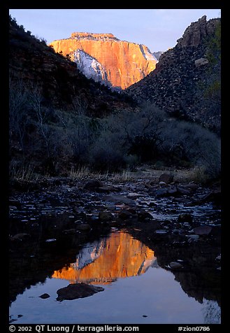 West temple reflected in Pine Creek, sunrise. Zion National Park (color)