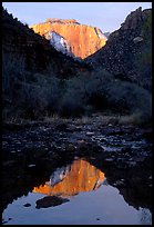 West temple reflected in Pine Creek, sunrise. Zion National Park, Utah, USA.