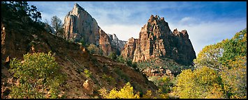 Zion Canyon scenery. Zion National Park (Panoramic color)