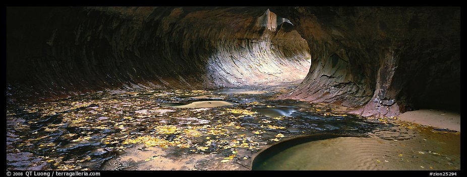 Tunnel-like opening and autumn leaves. Zion National Park (color)
