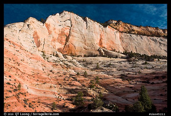 White and pink cliff, Zion Plateau. Zion National Park, Utah, USA.