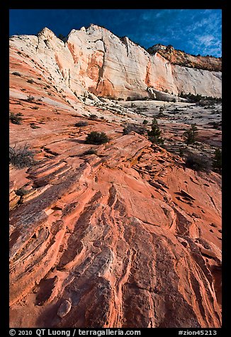 Sandstone swirls and cliff, Zion Plateau. Zion National Park, Utah, USA.
