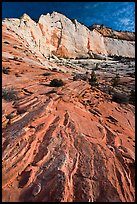 Sandstone swirls and cliff, Zion Plateau. Zion National Park, Utah, USA. (color)