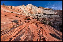 Pink sandstone swirls and white cliff. Zion National Park, Utah, USA. (color)