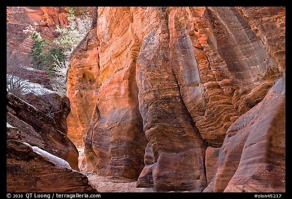 Rocks sculptured by water, Zion Plateau. Zion National Park, Utah, USA.