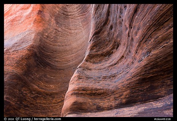 Detail of rock wall eroded by water. Zion National Park, Utah, USA.