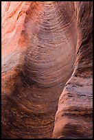 Detail of sandstone wall carved by flash floods. Zion National Park, Utah, USA.