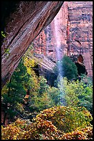 Cliff and waterfall, near  first Emerald Pool. Zion National Park, Utah, USA.