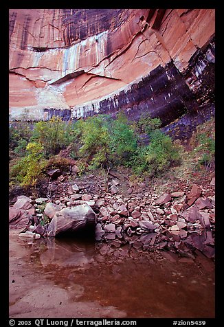 Multi-colored rock walls above the Third Emerald Pool. Zion National Park (color)