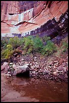 Multi-colored rock walls above the Third Emerald Pool. Zion National Park, Utah, USA. (color)