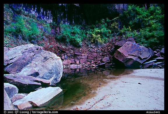 Sandstone boulders in Third Emerald Pool. Zion National Park, Utah, USA.
