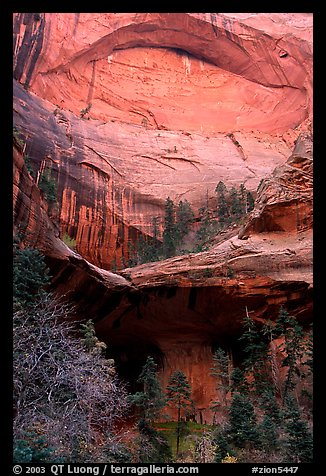 Double Arch Alcove, Middle Fork of Taylor Creek. Zion National Park (color)