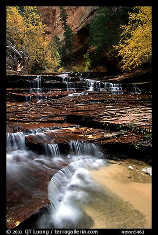 Archangel Falls in autumn, Left Fork of the North Creek. Zion National Park (color)