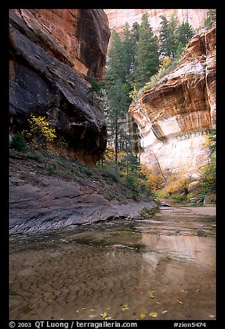 Cliffs near the Subway, Left Fork of the North Creek. Zion National Park (color)