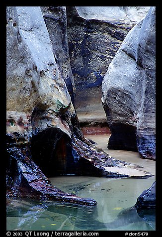 Pools and Rock walls sculptured by fast flowing water,  Subway, Left Fork of  the North Creek. Zion National Park, Utah, USA.