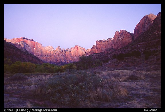 Towers of the Virgin from behind  Museum, dawn. Zion National Park, Utah, USA.