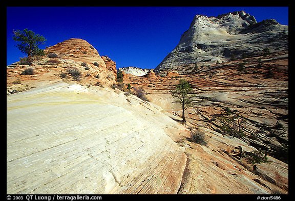Sandstone circular striations, Zion Plateau. Zion National Park, Utah, USA.