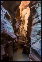 Dark flooded slot canyon, Pine Creek Canyon. Zion National Park ( color)