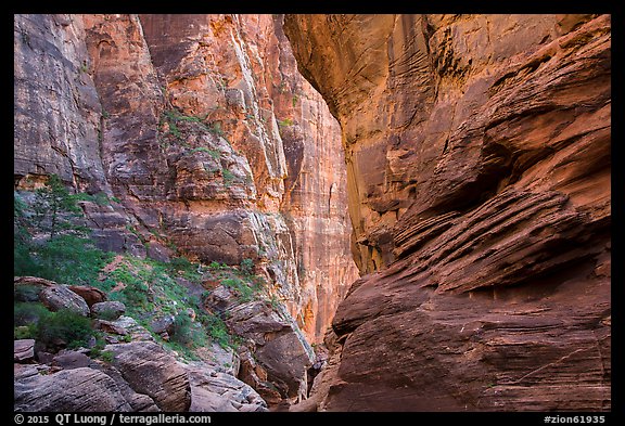 Tall canyon walls, Pine Creek Canyon. Zion National Park (color)