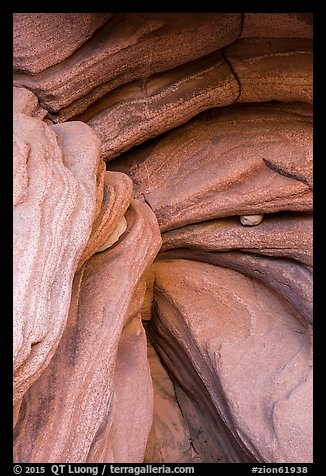 Sandstone ledges and chockstone, Pine Creek Canyon. Zion National Park, Utah, USA.