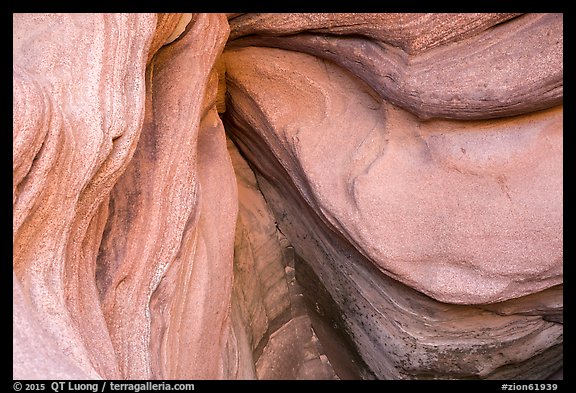 Sandstone ledges, Pine Creek Canyon. Zion National Park, Utah, USA.