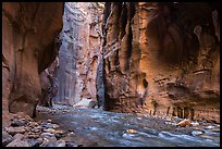 Virgin River between steep and tall walls of the Narrows. Zion National Park ( color)