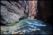 Narrows of the North Fork of the Virgin River. Zion National Park ( color)